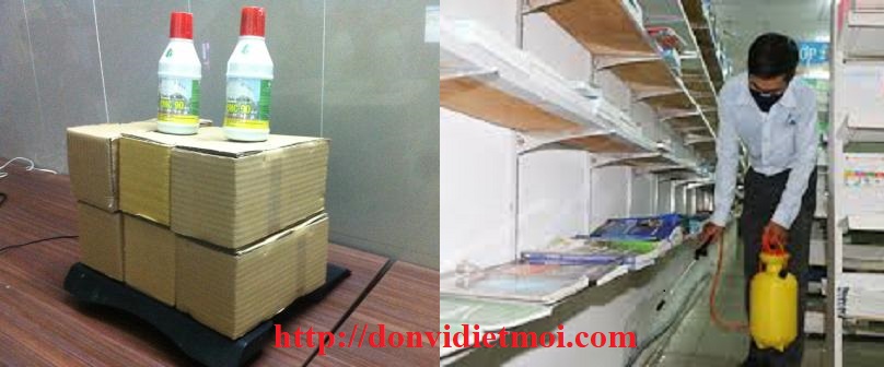 Dịch vụ diệt mối tận gốc Quảng Ngãi