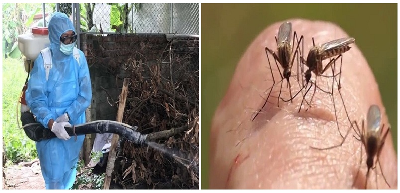 Dịch vụ phun diệt muỗi quận Thủ Đức