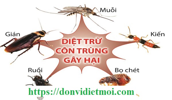 Phun diệt côn trùng Bà Rịa – Vũng Tàu