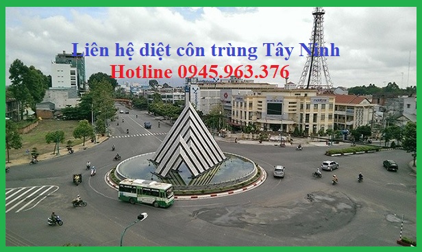 cong-ty-diet-con-trung-tay-ninh