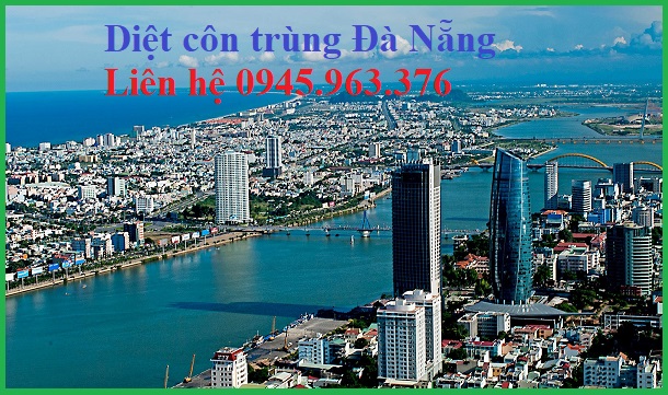 dich-vu-diet-con-trung-da-nang