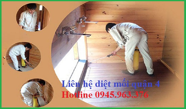 dich-vu-diet-moi-tai-nha-quan-4