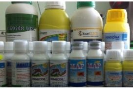 ban-thuoc-diet-muoi-quan-2