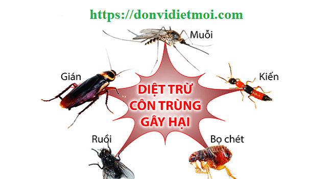 cong-ty-diet-con-trung-quan-9