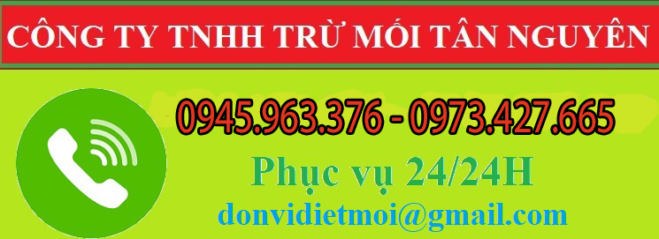 dich-vu-diet-moi-tan-nguyen-1