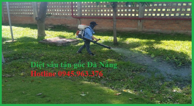 dich-vu-diet-sau-long-sau-rom-tai-da-nang