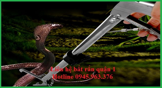 cong-ty-bat-ran-tai-nha-quan-1