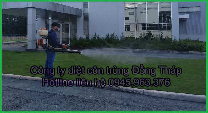 cong-ty-diet-con-trung-tinh-dong-thap