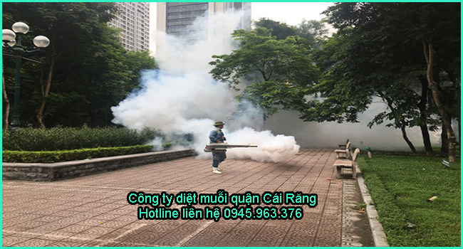 cong-ty-diet-muoi-quan-cai-rang