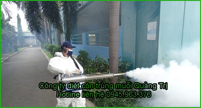 cong-ty-diet-muoi-tinh-quang-tri