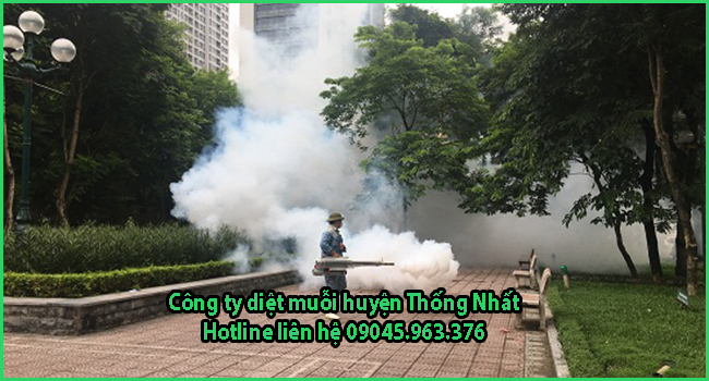 cong-ty-diet-muoi-tai-huyen-thong-nhat