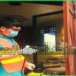 Dịch vụ diệt mối tại huyện Thanh Trì – Bán thuốc trừ mối chuyên nghiệp