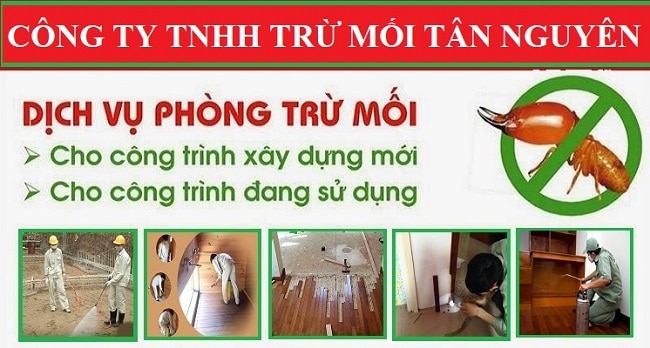 diet-con-trung-tan-nguyen-tai-quang-ngai